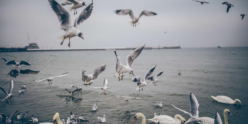 二级市场绘画拍卖策略：收藏家如何为作品设定保留价并把握最佳拍卖时机