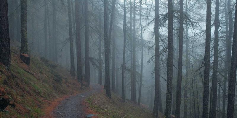 原创绘画交易全攻略:从评估到买卖的五大最佳实践