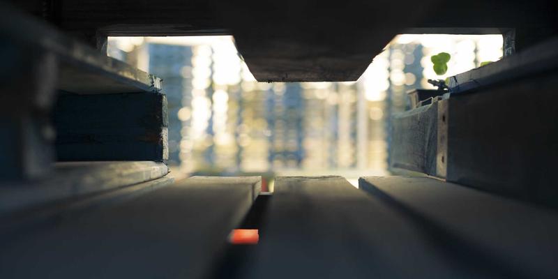 画廊主实战指南：原创绘画交易中的阶梯式定价与市场推广策略