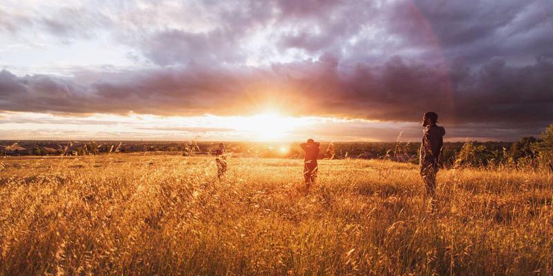 绘画交易63:艺术收藏家如何慧眼识珠,构建有价值的原创绘画收藏体系