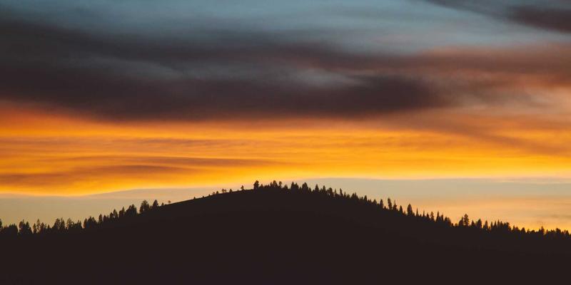 绘画交易的艺术与智慧:从作品鉴赏到成功买卖的完整指南