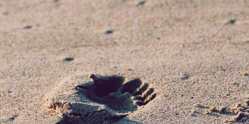 绘画交易的艺术：从艺术品买卖到智慧收藏的完整指南