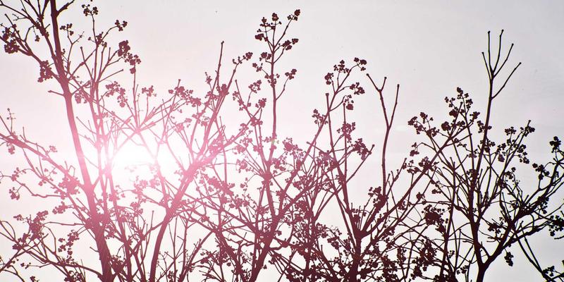 绘画交易的艺术:收藏家如何慧眼识珠,实现艺术品买卖的价值最大化