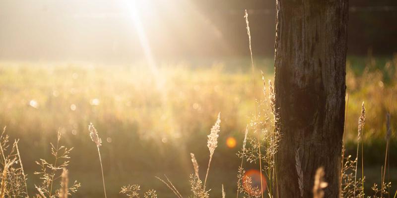 绘画交易的艺术：连接艺术家、收藏家与市场的桥梁