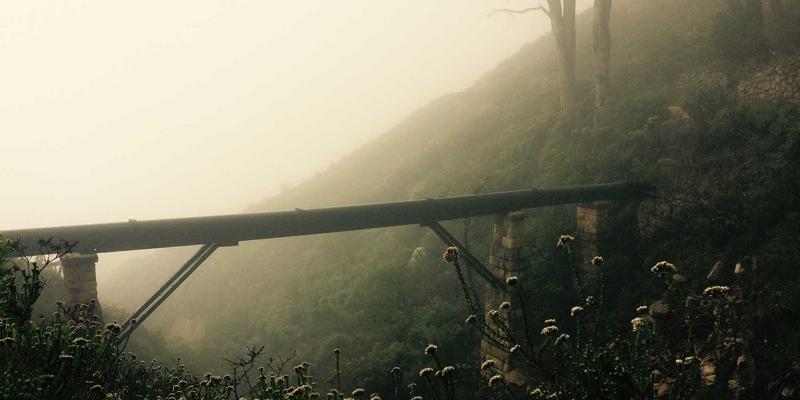 艺术博览会交易实战指南：收藏家如何高效选购绘画与掌握议价技巧