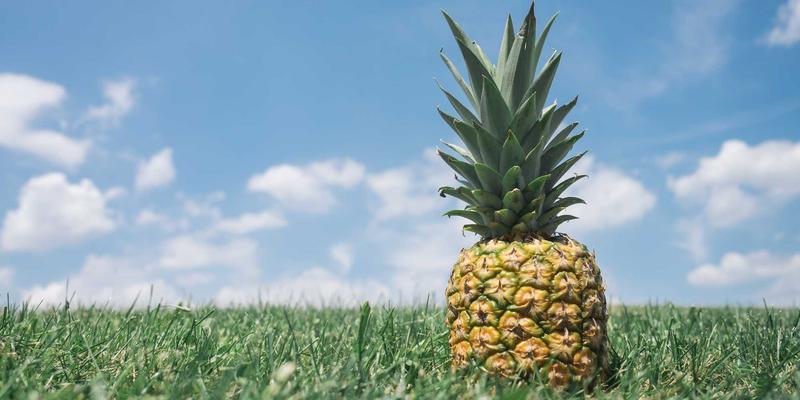 艺术品买卖的安全基石：收藏家如何通过第三方担保服务保障大额交易