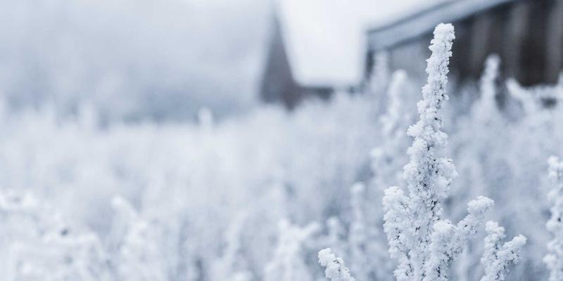 艺术品收藏入门指南：如何慧眼识珠，鉴别与购买有升值潜力的绘画作品
