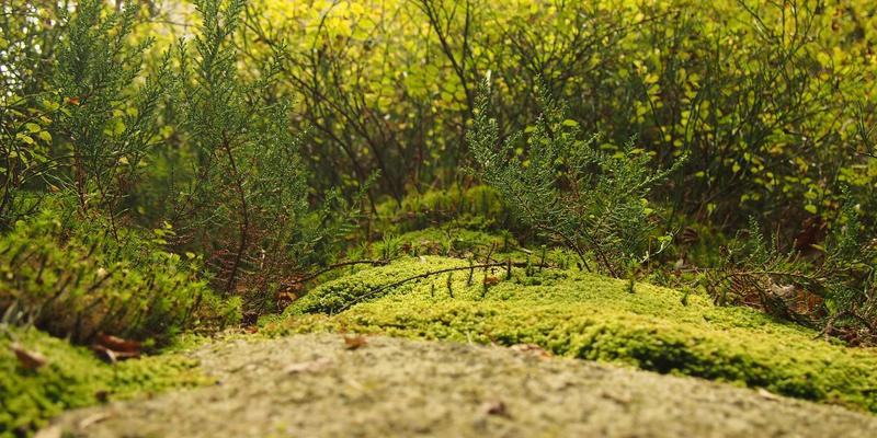 艺术家与收藏家的新选择：艺术仓库与共享收藏如何破解大型绘画作品的存储与展示困局