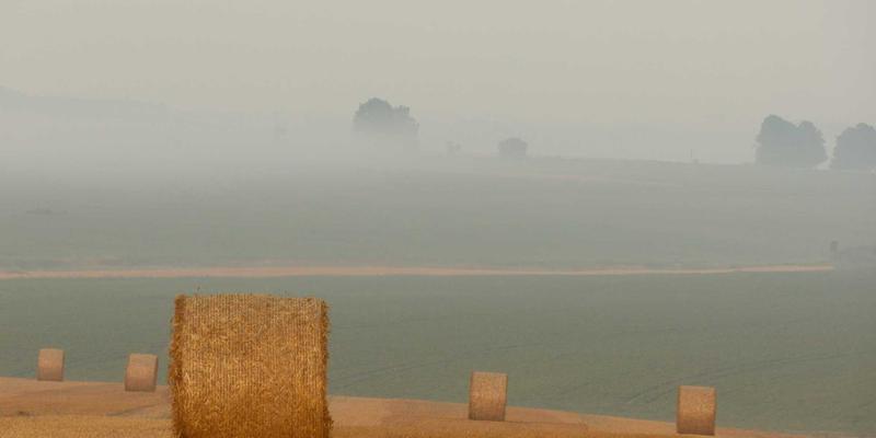 艺术家必读：艺术品仓储与物流解决方案，保障绘画交易安全的完整指南