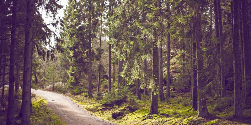 艺术收藏指南：揭秘绘画作品定价的深层逻辑——成本、市场与艺术家声誉的平衡