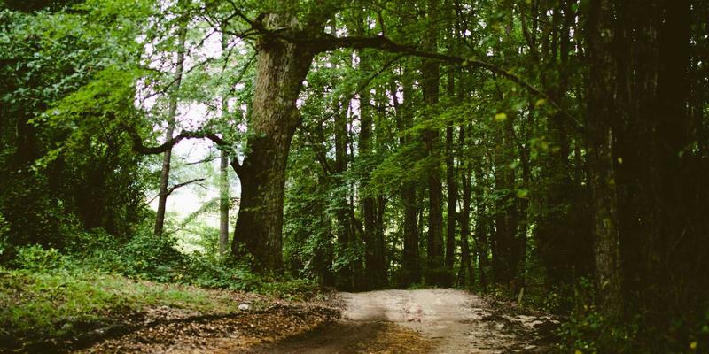 艺术顾问服务解析：专业顾问如何为藏家构建与调整原创绘画收藏体系