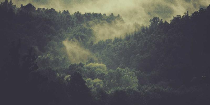 跨境绘画交易全攻略：收藏家与艺术家必知的税务、物流与合规指南